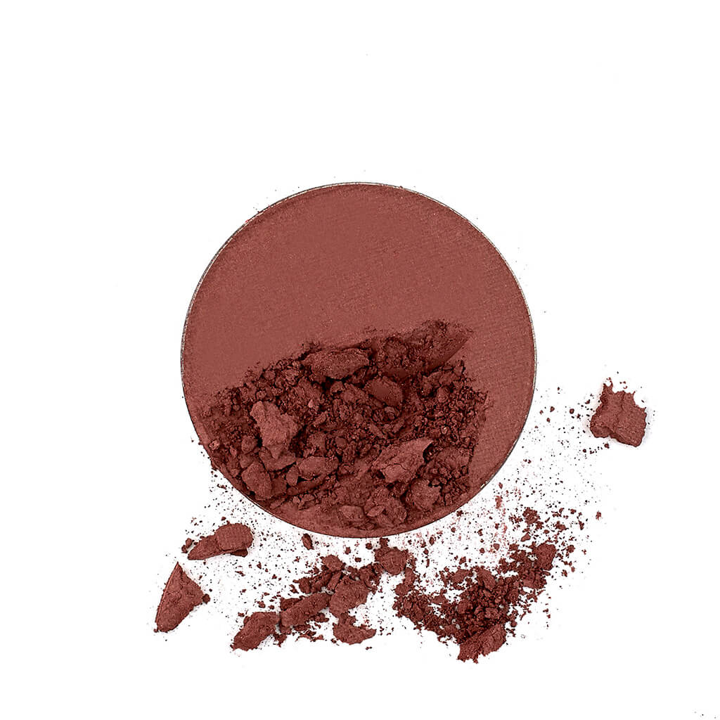 Stargazer Eyeshadow - Cocoa Swatch