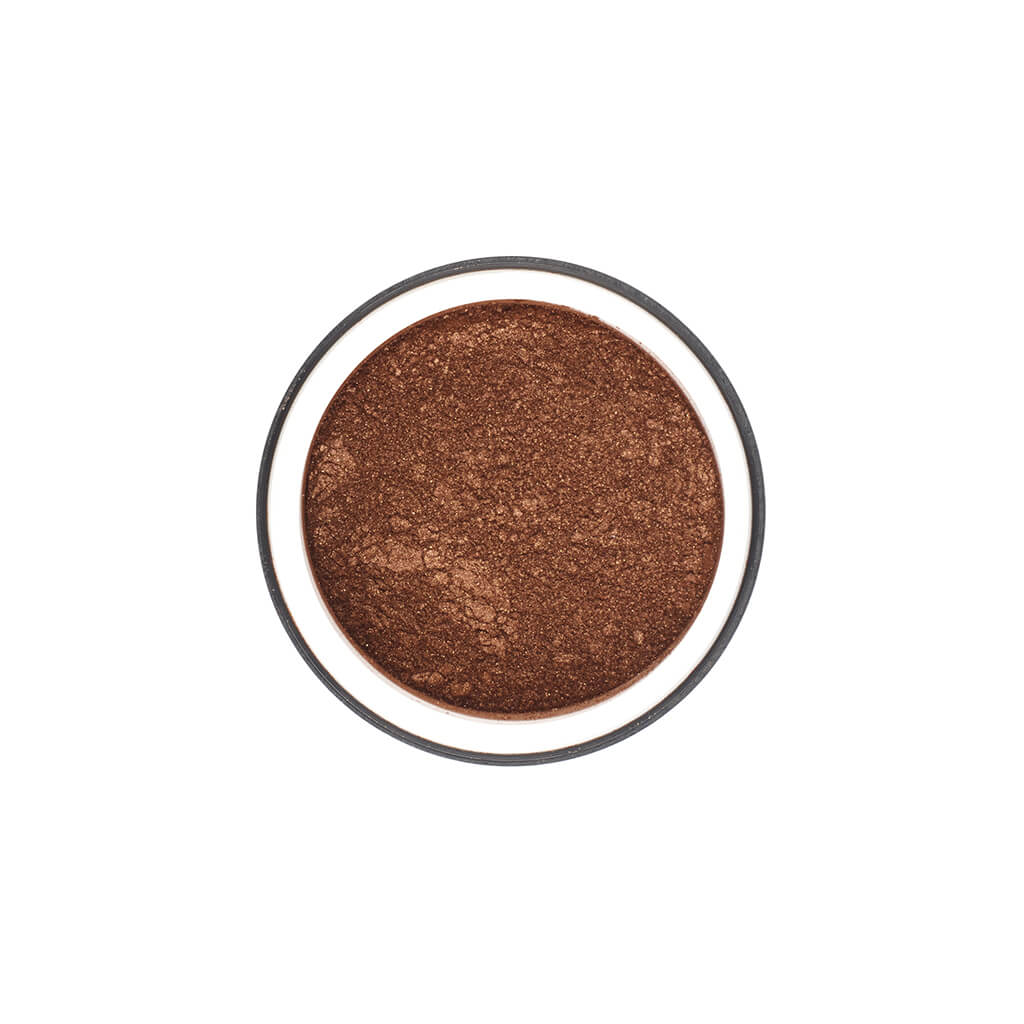 Stargazer Eye Dust Pigment - 10