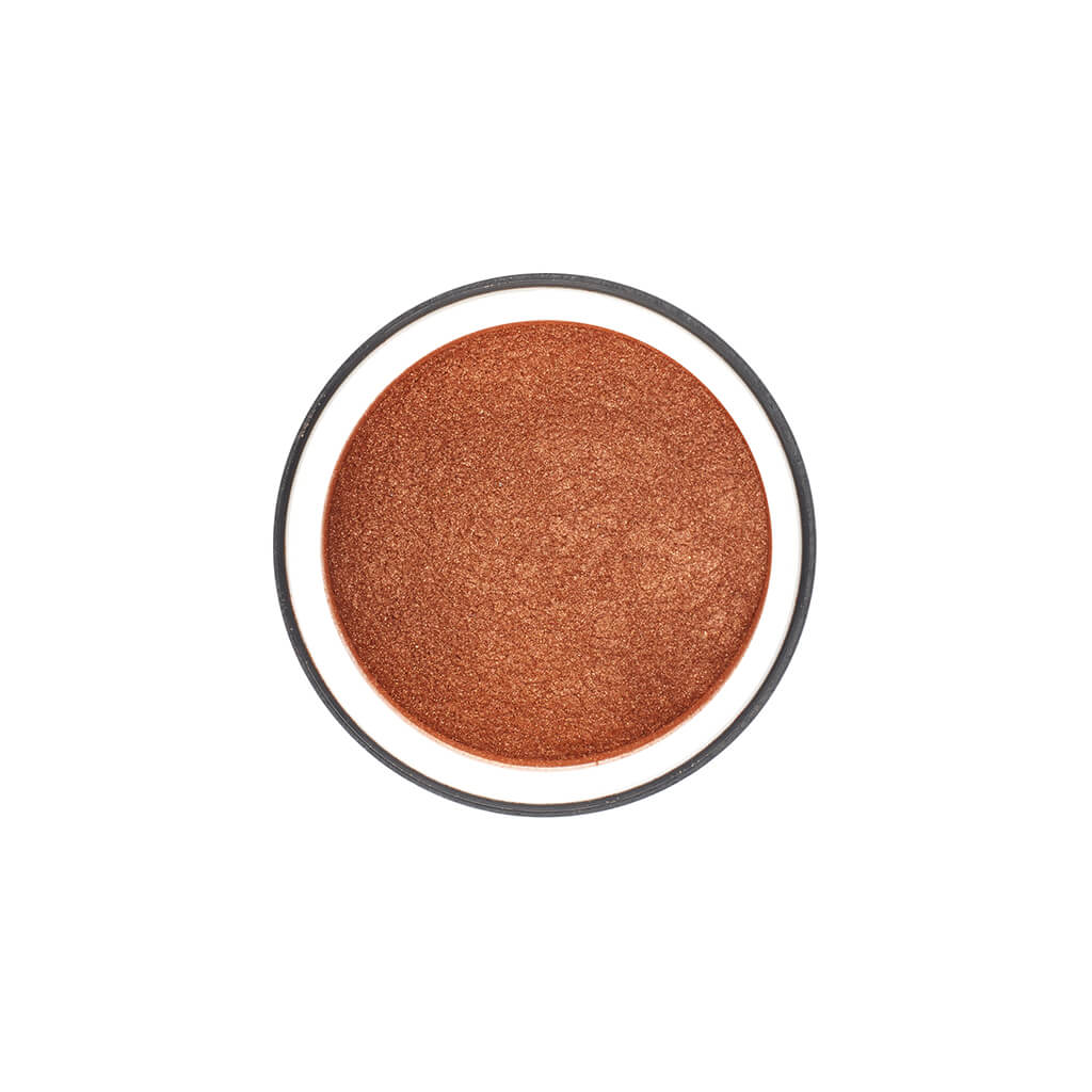 Stargazer Eye Dust Pigment - 12