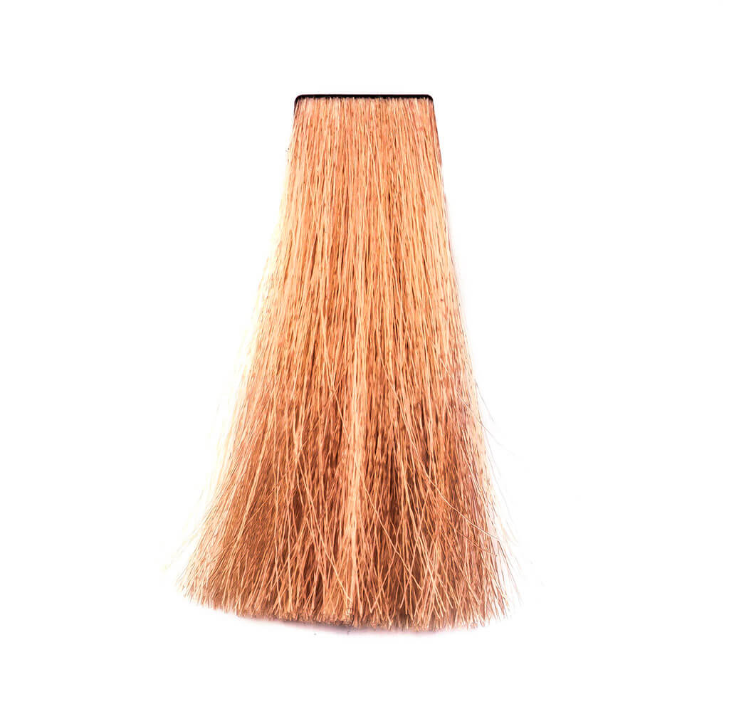 Stargazer Yummy Permanent Hair Colour - Apricot Swatch